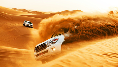 Dubai Desert Safari Standard on Sharing Basis