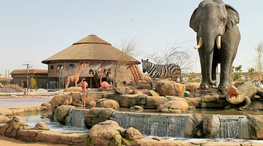Safari Park Pass with Train Ride by Explorer Safari Tour Guide &  Entry Ticket with Pick up and Drop Off